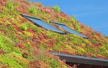 Brenkley living roof systems