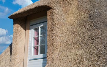 Brenkley thatch roof disadvantages